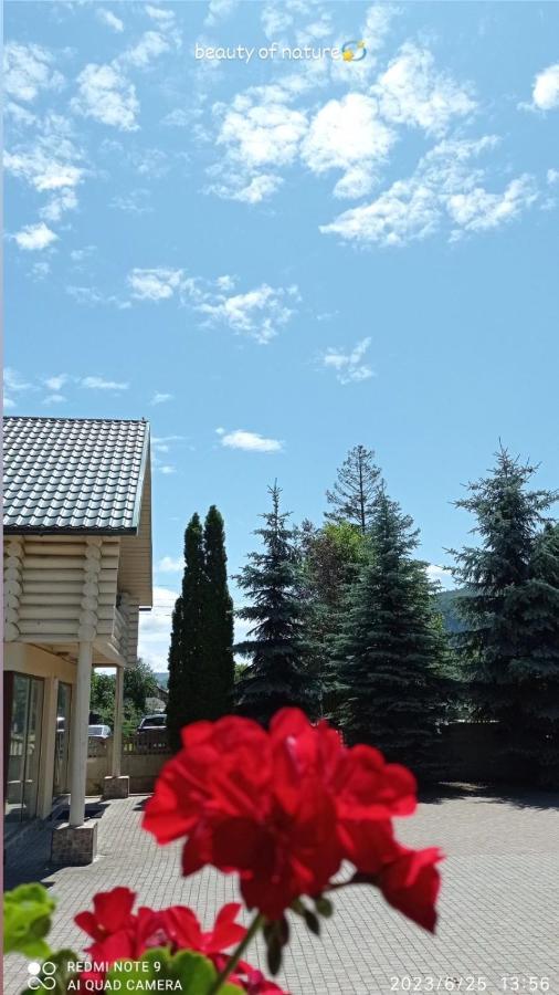 Golden Lemon Apartment Mizhhirya  Екстериор снимка